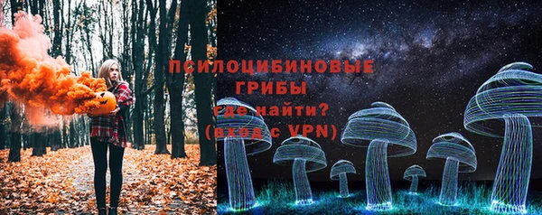 крисы Алексин