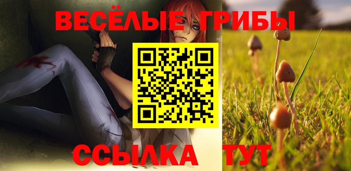 Кизилюрт  где купить наркотик  Псилоцибиновые грибы мицелий  Вход с VPN  Псилоцибиновые грибы ЛСД 