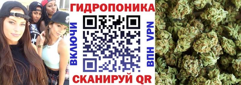 Бошки Шишки Amnesia  закладка  Кизилюрт 